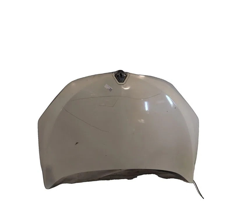 CAPOT RENAULT MEGANEIII 651009018R