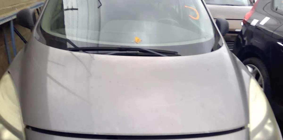 Capot RENAULT SCENIC 3  SCENIC 3 occasion