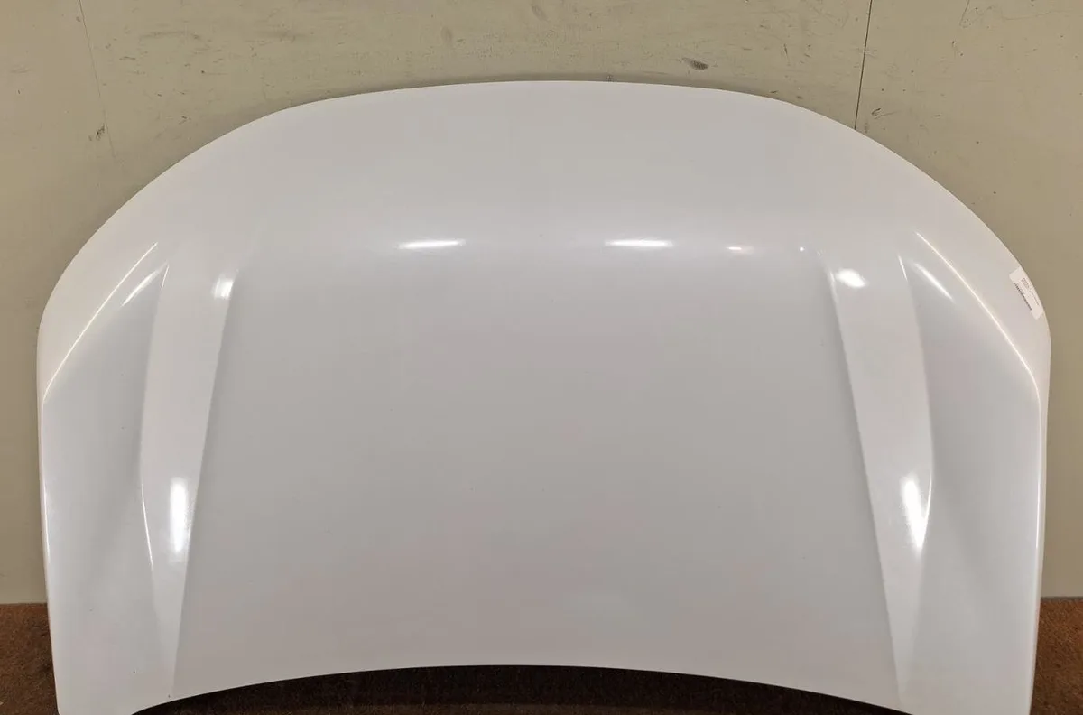 Capot RENAULT SCENIC 5 SCENIC 5 occasion