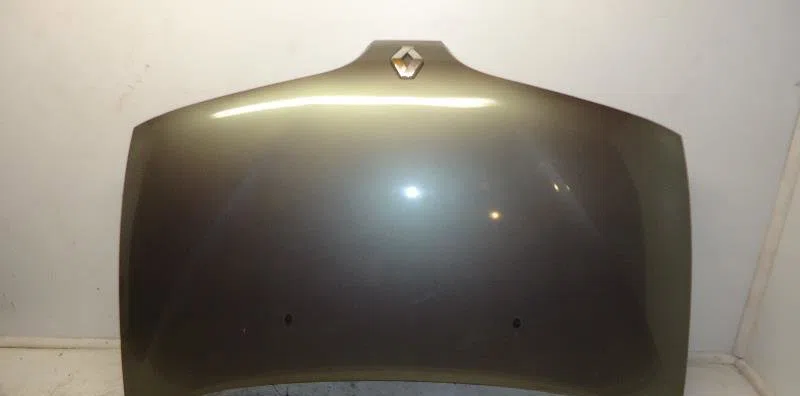 Capot RENAULT SCENIC I 2000 occasion