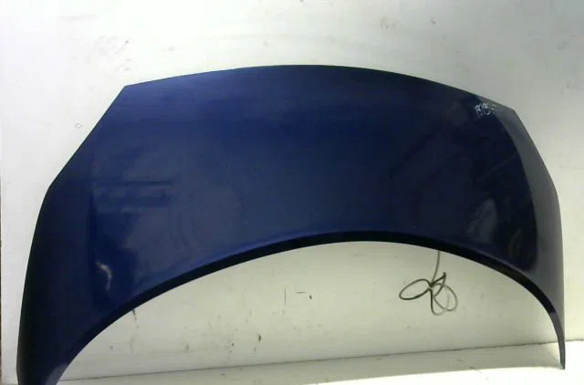 Capot Renault SCÉNIC II (JM0-1_) 1.9 dci (jm0g, jm12, jm1g, jm2c) (2003-2006) occasion