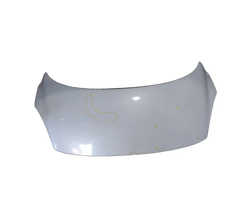 CAPOT RENAULT SCENIC III 651008842R