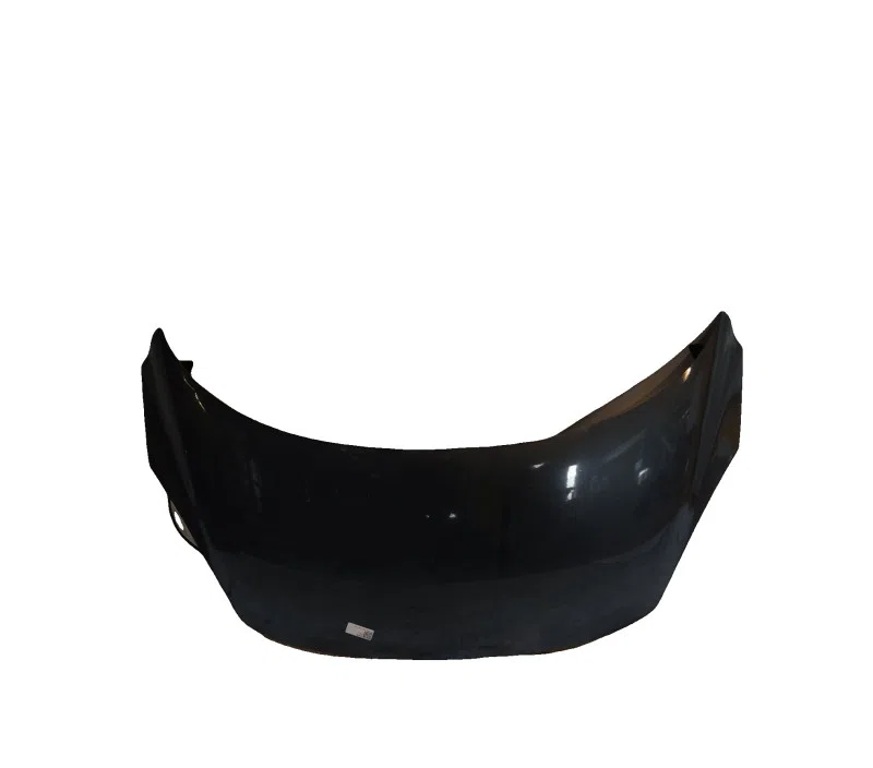 CAPOT RENAULT SCENIC III 651008842R