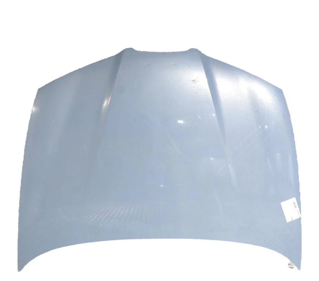 Capot Seat IBIZA III (6L1) 1.4 tdi (2002-2005) 3 portes occasion