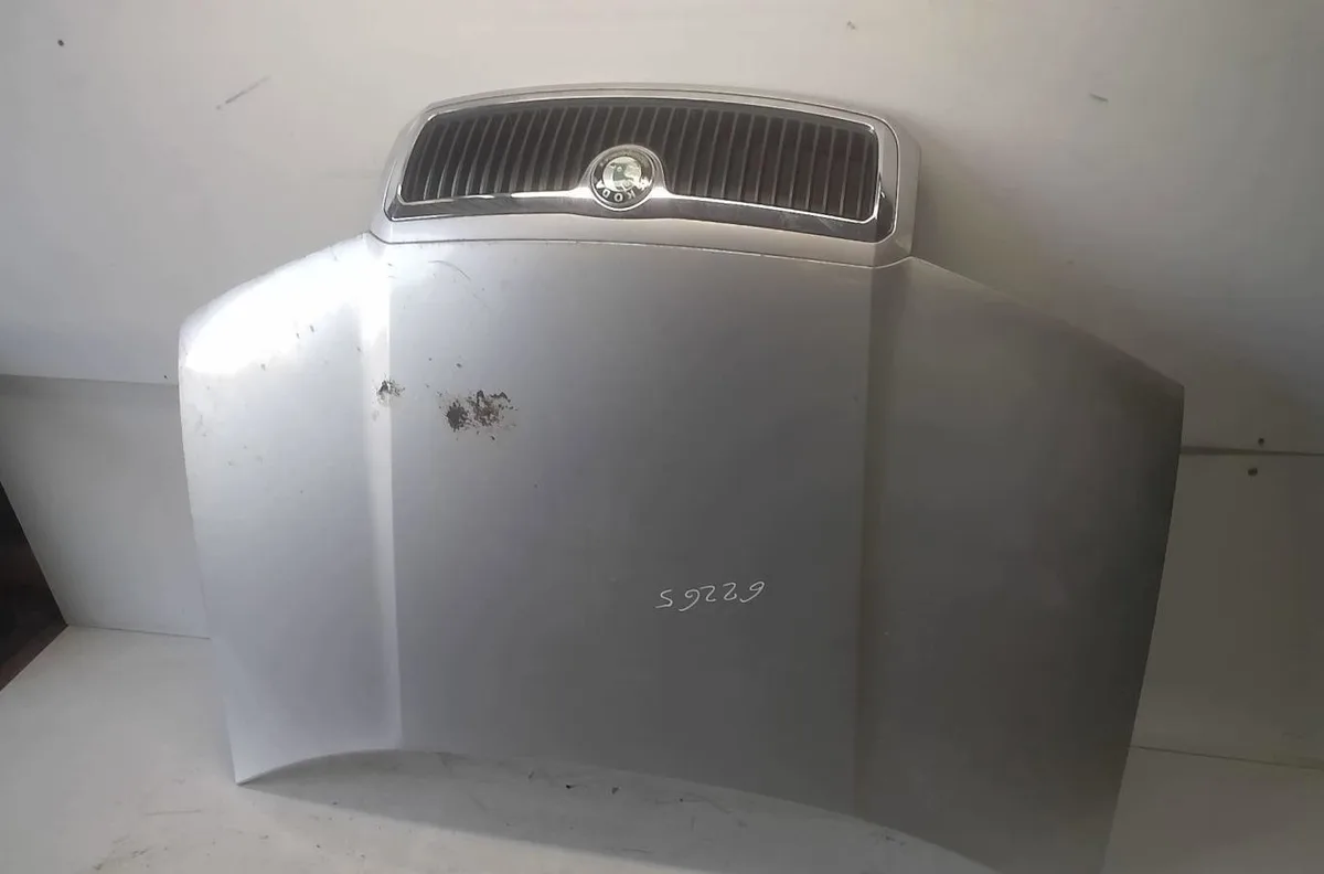 Capot Skoda FABIA I (6Y2) 1.4 (1999-2003) occasion