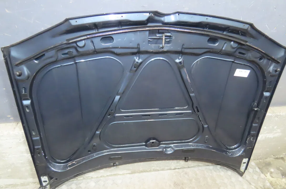 Capot VOLKSWAGEN GOLF 2002 occasion