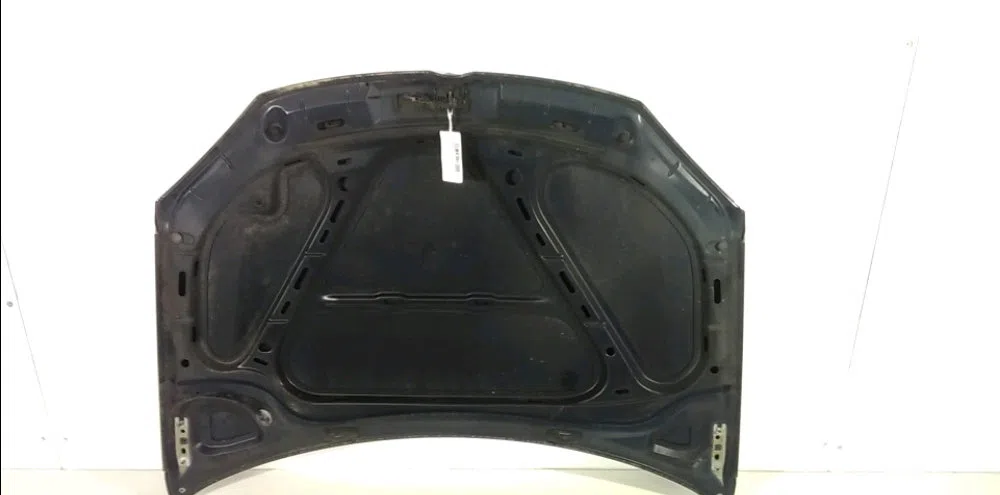 Capot Volkswagen GOLF V (1K1) 1.6 fsi (2003-2008) occasion