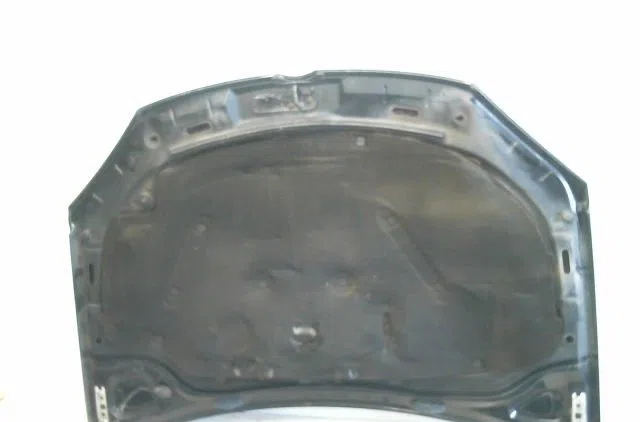 Capot Volkswagen GOLF V (1K1) 1.9 tdi (2003-2008) 5 portes occasion