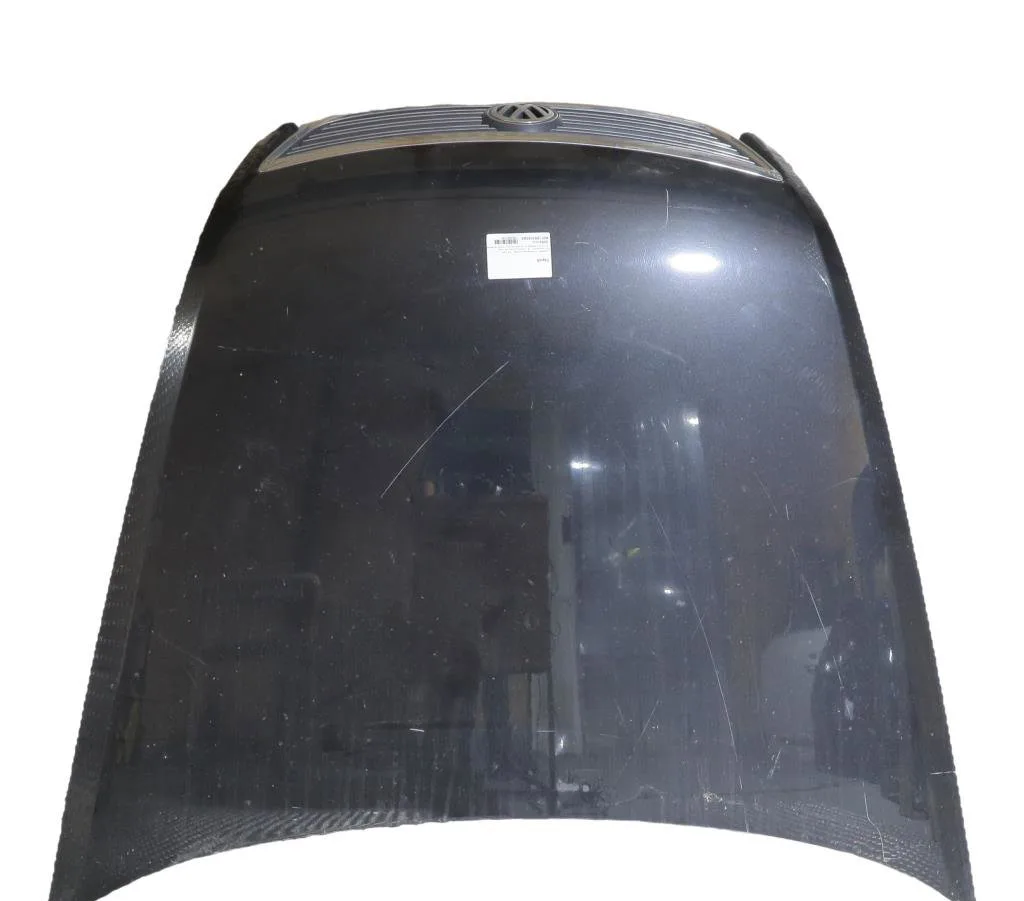Capot Volkswagen PHAETON (3D1, 3D2, 3D3, 3D4, 3D6, 3D7, 3D8, 3D9) 5.0 v10 tdi 4motion (2002-2006) occasion