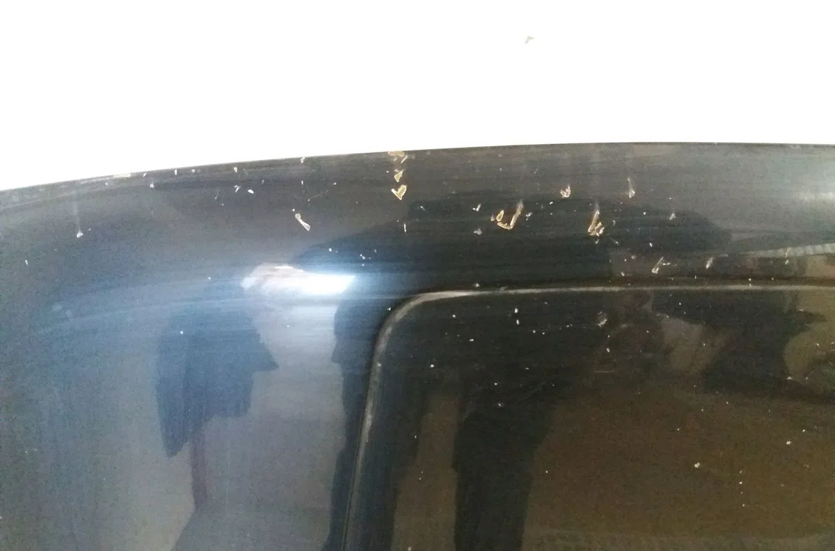 Capot Volkswagen POLO Coupé (86C, 80) 1.0 cat (1989-1994) occasion