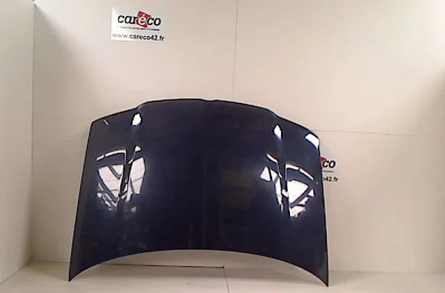 Capot VOLKSWAGEN POLO III 2000 occasion