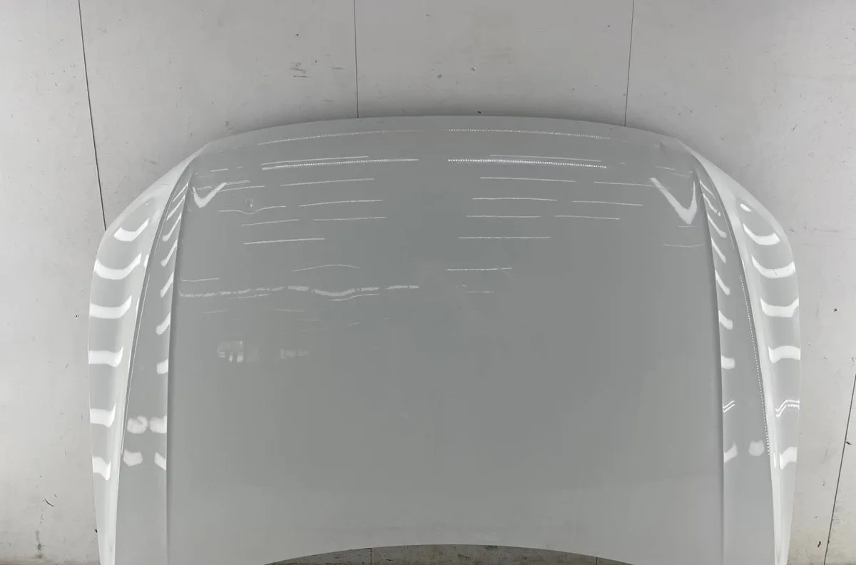 Capot VOLKSWAGEN TIGUAN 2 PHASE 1 occasion