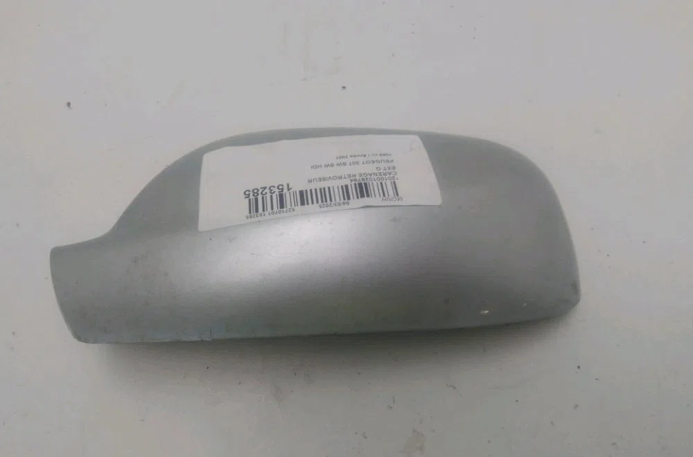 Carenage retroviseur ext g Peugeot 307 Break (3E) 1.6 hdi 110 (2004-2008) 5 portes occasion