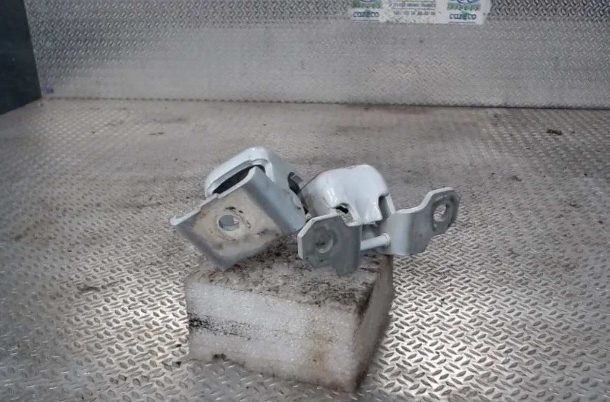 Charniere inf porte battante arg RENAULT CLIO 4  CLIO 4 PHASE 1 occasion