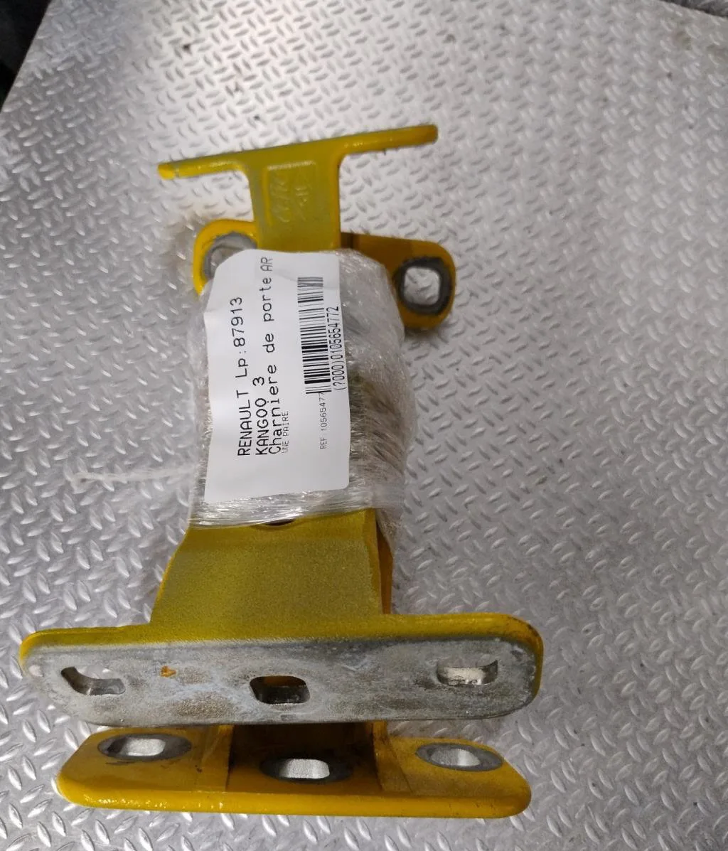 Charniere inf porte battante arg RENAULT KANGOO 3 occasion