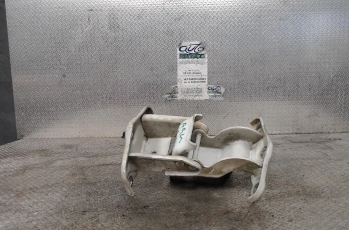 Charniere inf porte battante arg RENAULT TRAFIC 2 PHASE 1 occasion