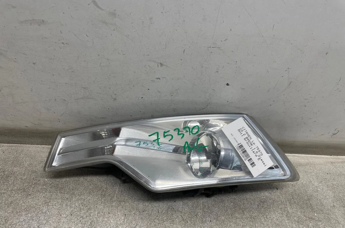 Clignotant gauche Citroen C5 III Break (RW_) 1.6 hdi 110 (2008) 5 portes occasion