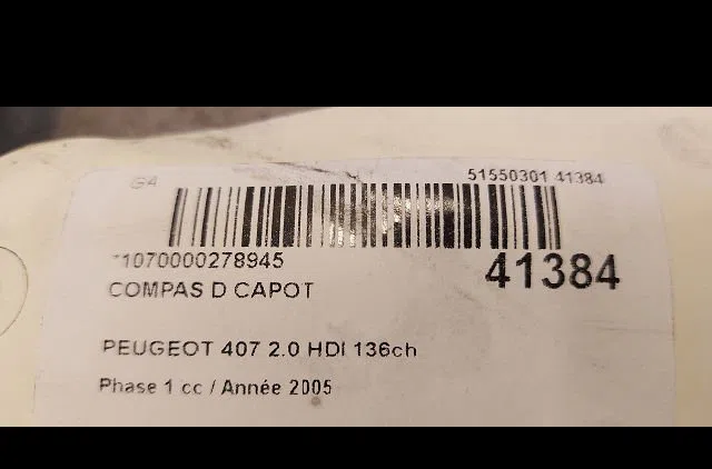 Compas d capot Peugeot 407 (6D_) 2.0 hdi 135 (6drhrh, 6drhre, 6drhrg, 6drhrj) (2004-2010) 4 portes occasion