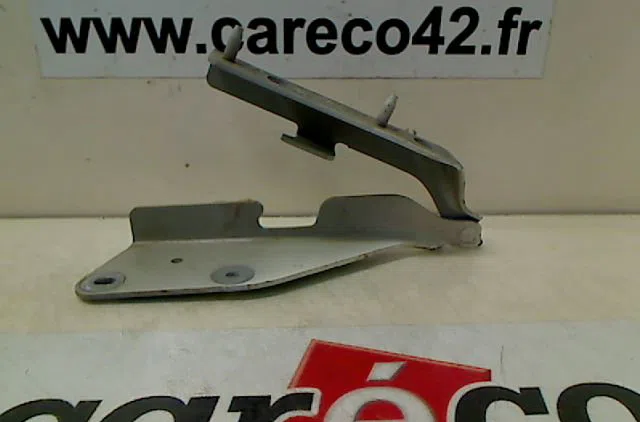 Compas g capot CITROEN C3 2009 occasion