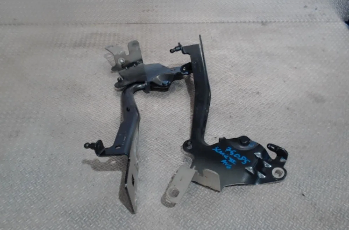 Compas g capot RENAULT GRAND SCENIC 3 GRAND SCENIC 3 PHASE 1 occasion