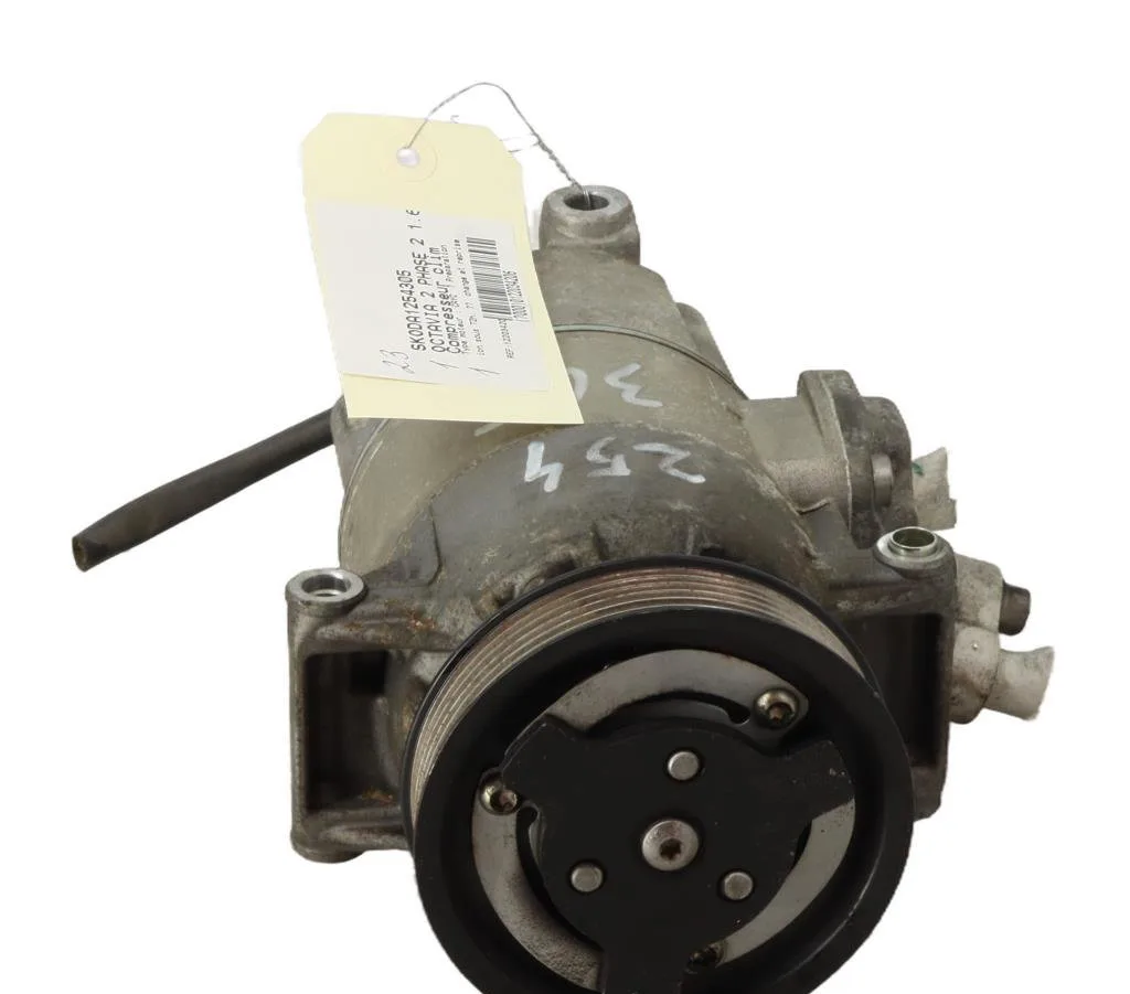 Compresseur air conditionne Skoda OCTAVIA II (1Z3) 1.6 tdi (2009-2013) occasion