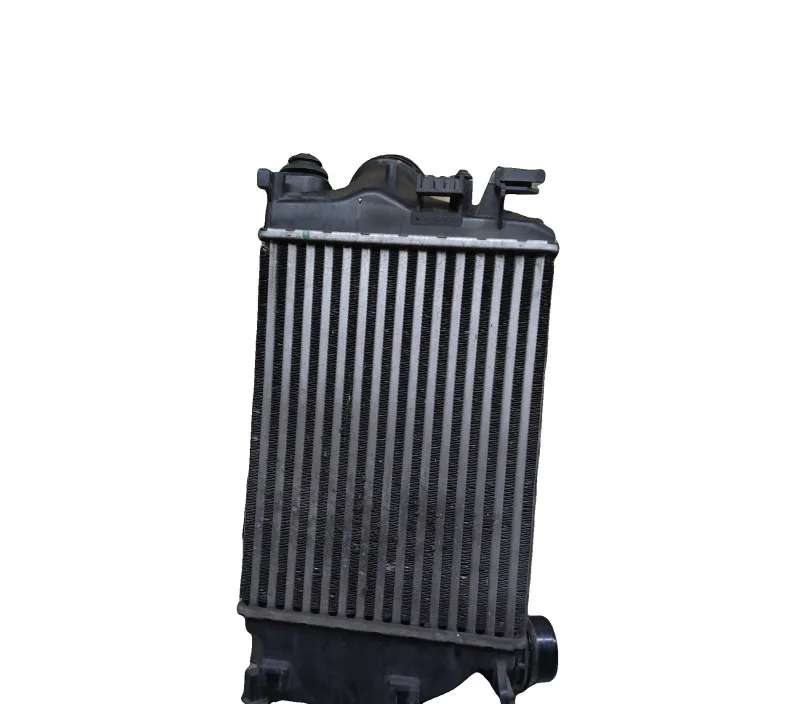 ECHANGEUR AIR-AIR RENAULT MEGANE IV 144614ED0A