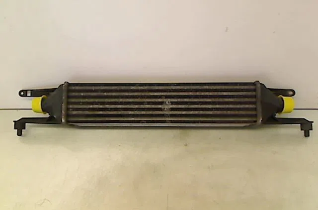 Echangeur air Fiat GRANDE PUNTO (199_) 1.3 d multijet (199.axd11, 199.axd1a, 199.axd1b,... (2005-2010) 5 portes occasion
