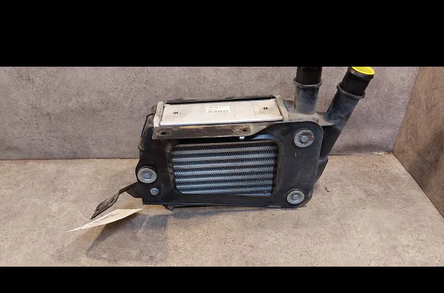 Echangeur air Fiat PANDA (169_) 1.3 d multijet (169.axc1a) (2003) 5 portes occasion
