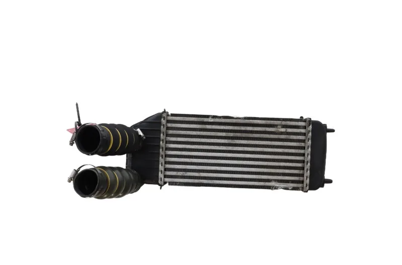 Echangeur air (Intercooler) pour PEUGEOT EXPERT 2