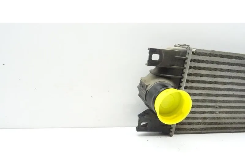 Echangeur air (Intercooler) pour RENAULT MASTER 2 PHASE 1