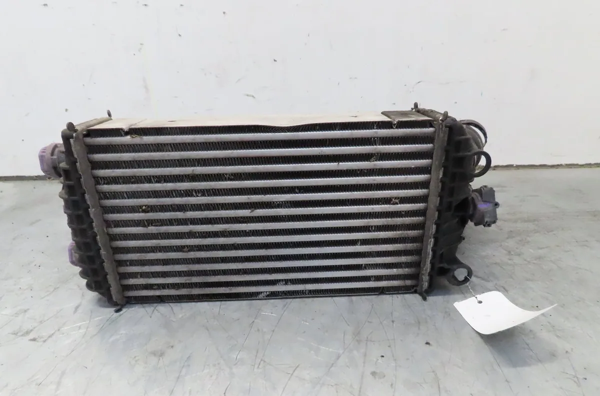 Echangeur air Peugeot 2008 II (UD_, US_, UY_, UK_) 1.5 bluehdi 110 (udyhsk) (2021) occasion