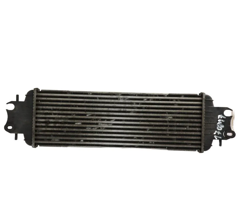 Echangeur air Renault TRAFIC II Autobus-Autocar (JL) 1.9 dci 100 (jl0c) (2001-2006) occasion