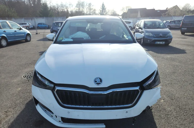 Eclairage de plafonnier pour SKODA SCALA PHASE 1