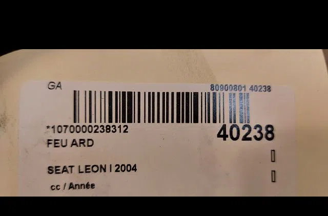 Feu arrière droit SEAT LEON I 2004 occasion
