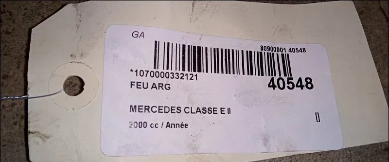 Feu arrière gauche Mercedes-benz CLASSE E (W210) E 270 cdi (210.016) (1999-2002) occasion