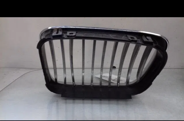 Grille d capot Bmw 3 (E46) 320 d (1998-2001) occasion