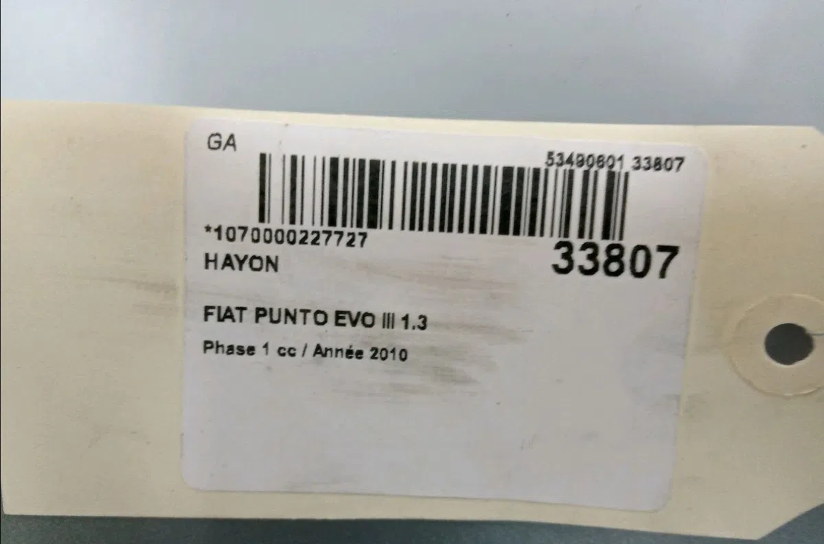 Hayon FIAT PUNTO EVO III 2010 occasion