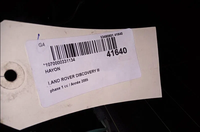 Hayon Land rover DISCOVERY III (L319) 2.7 td 4x4 (2004-2009) occasion