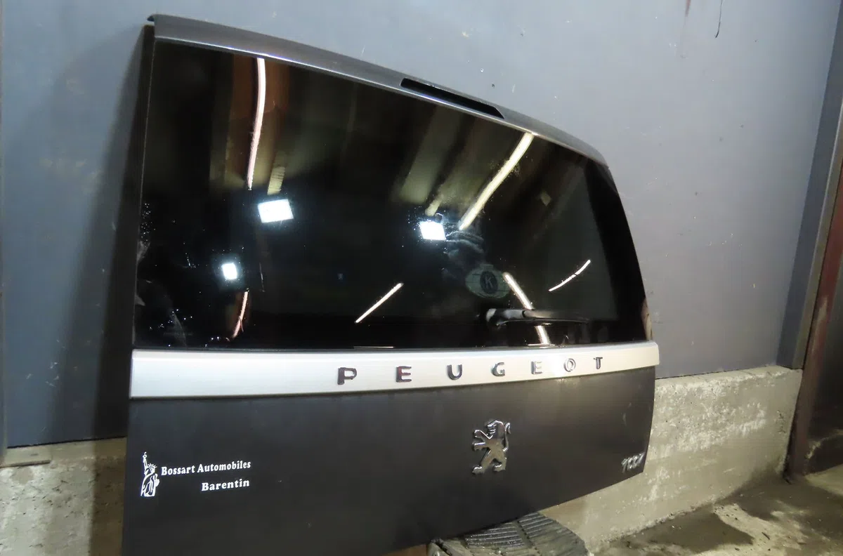 Hayon PEUGEOT 1007 2009 occasion