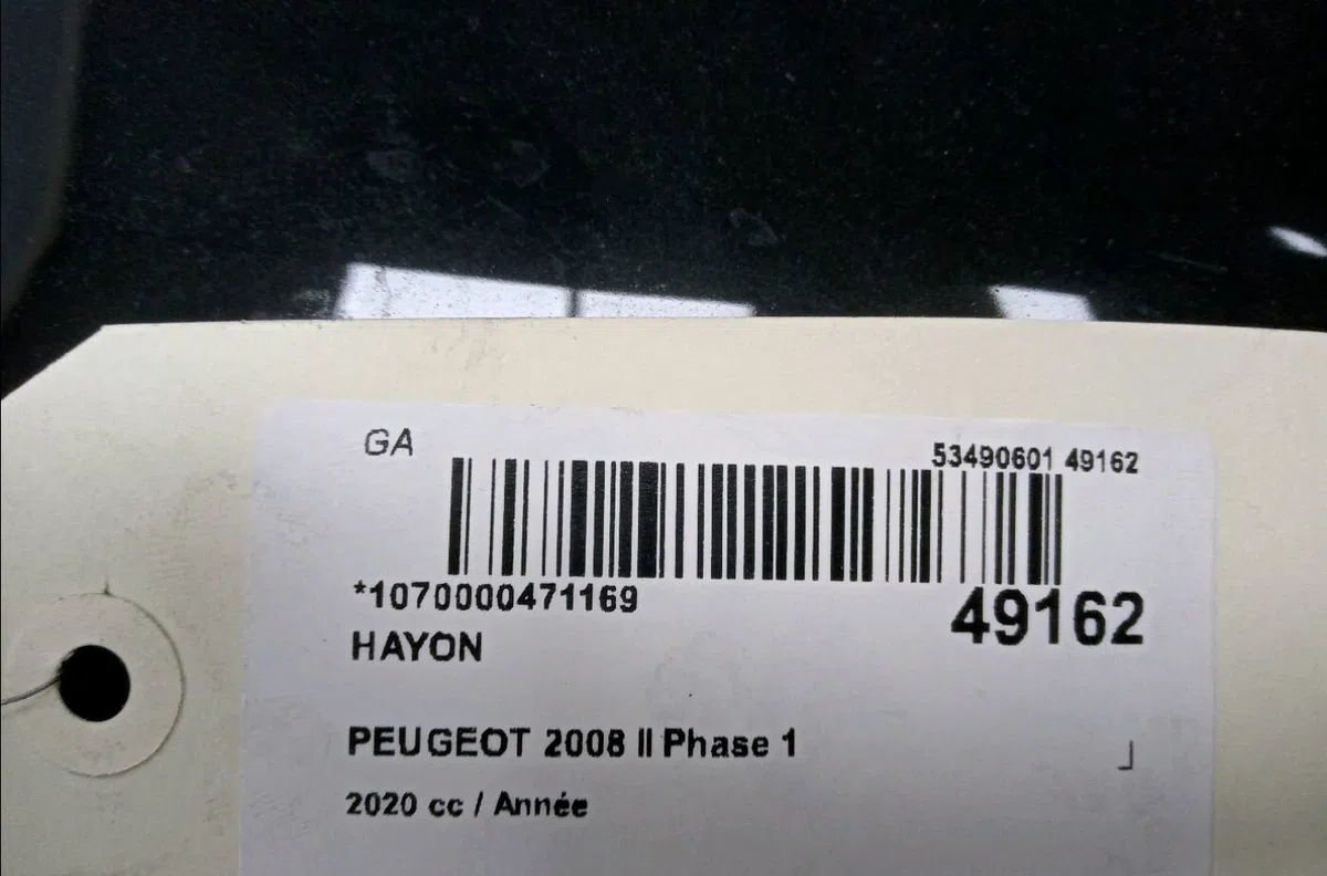 Hayon Peugeot 2008 II (UD_, US_, UY_, UK_) 1.2 puretech 130 (2019) occasion