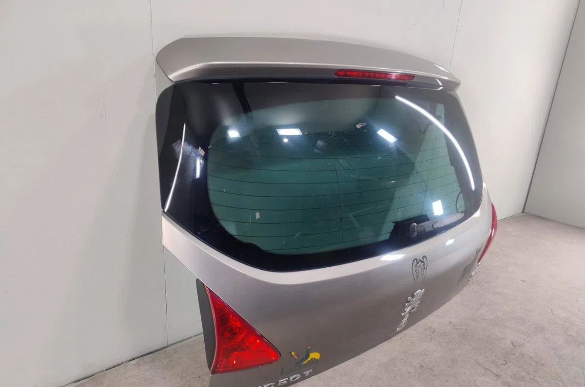 Hayon PEUGEOT 3008 1  3008 1 PHASE 1 occasion