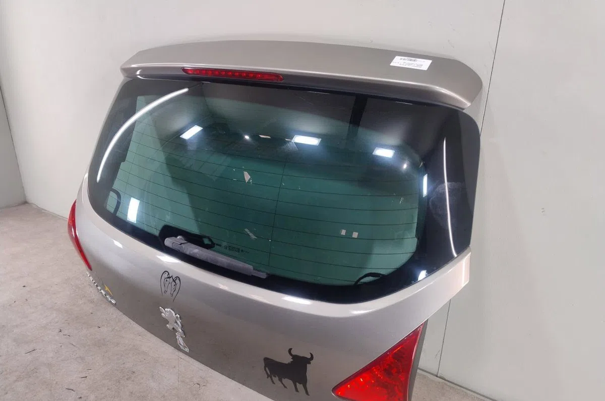 Hayon PEUGEOT 3008 1  3008 1 PHASE 1 occasion
