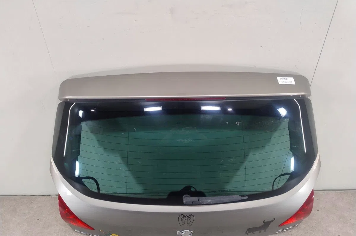 Hayon PEUGEOT 3008 1  3008 1 PHASE 1 occasion