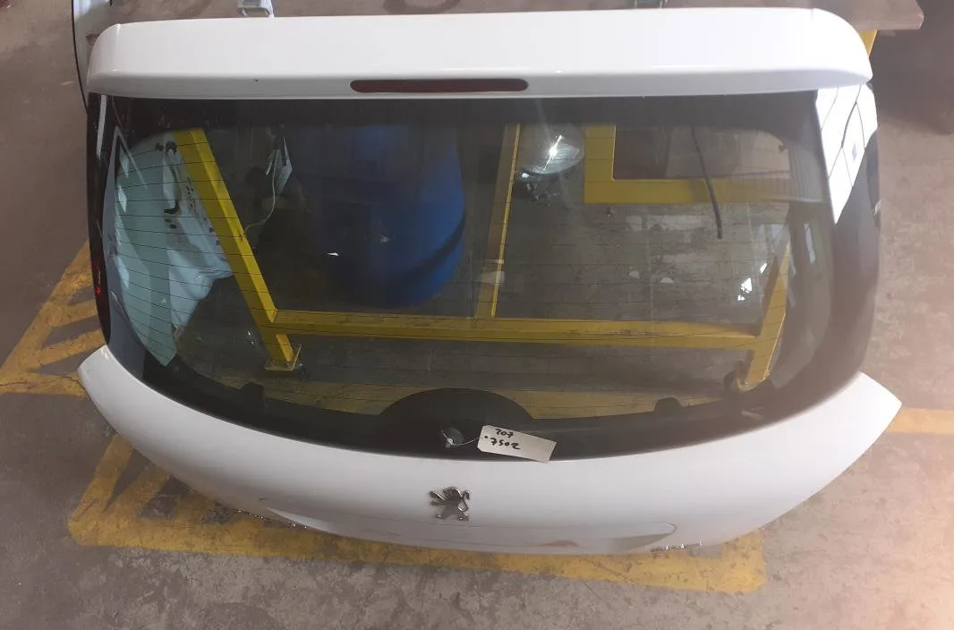 Hayon PEUGEOT PEU 207 occasion