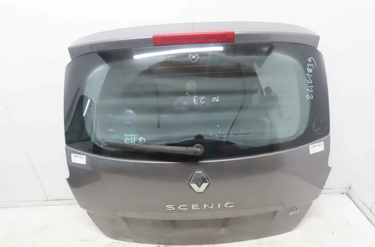 Hayon RENAULT SCENIC III occasion