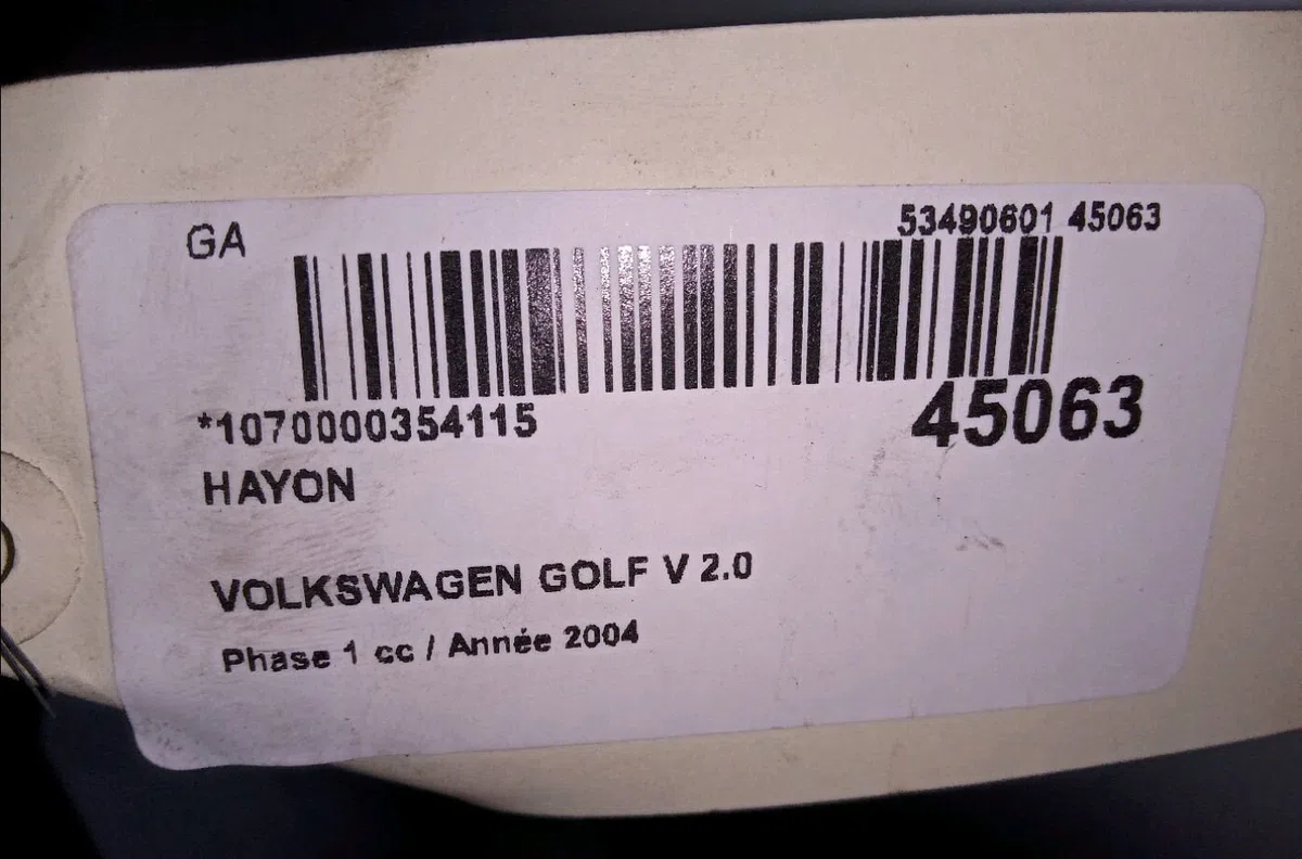 Hayon Volkswagen GOLF V (1K1) 2.0 tdi 16v (2003-2008) occasion