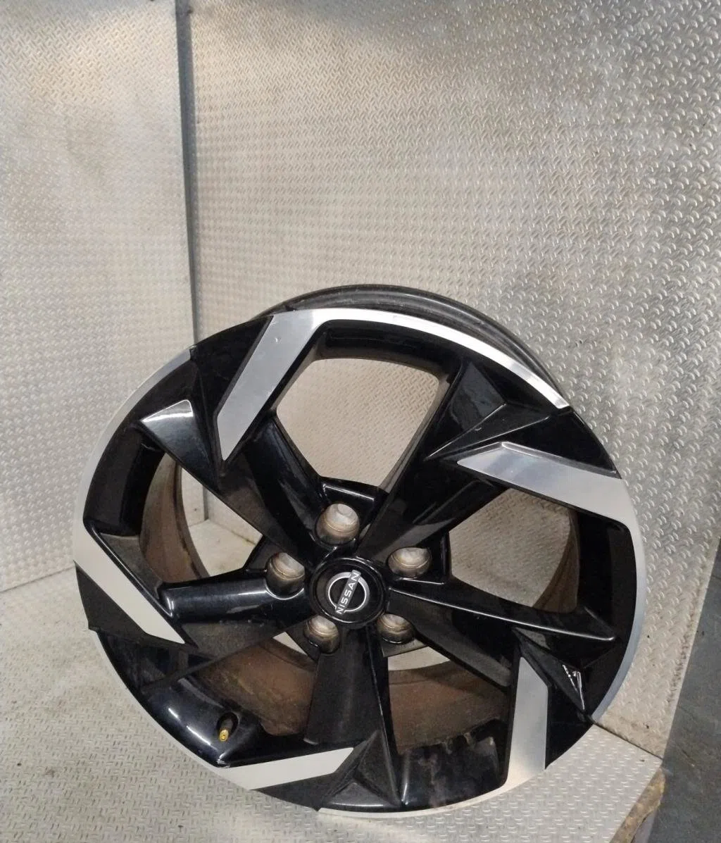Jante tole NISSAN JUKE 2 occasion
