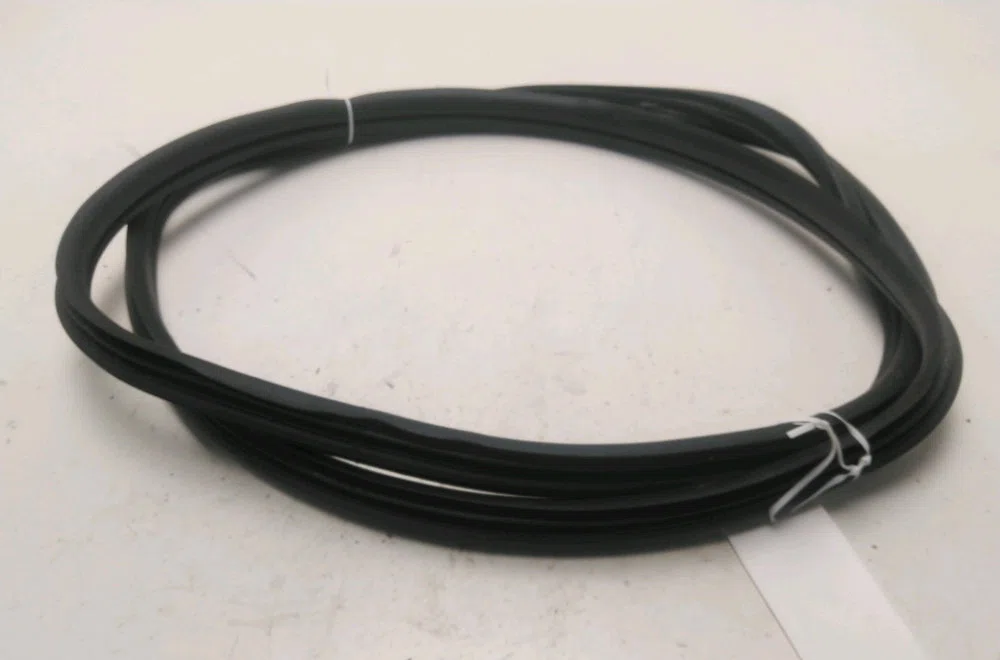 Joint porte avd Renault MEGANE II (BM0-1_, CM0-1_) 1.6 16v (2006-2008) occasion