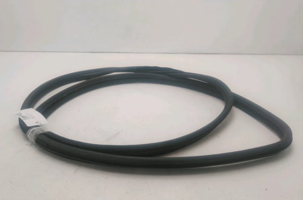 Joint porte avg Renault SCÉNIC II (JM0-1_) 1.5 dci (jm1e, jm16) (2005-2008) 5 portes occasion