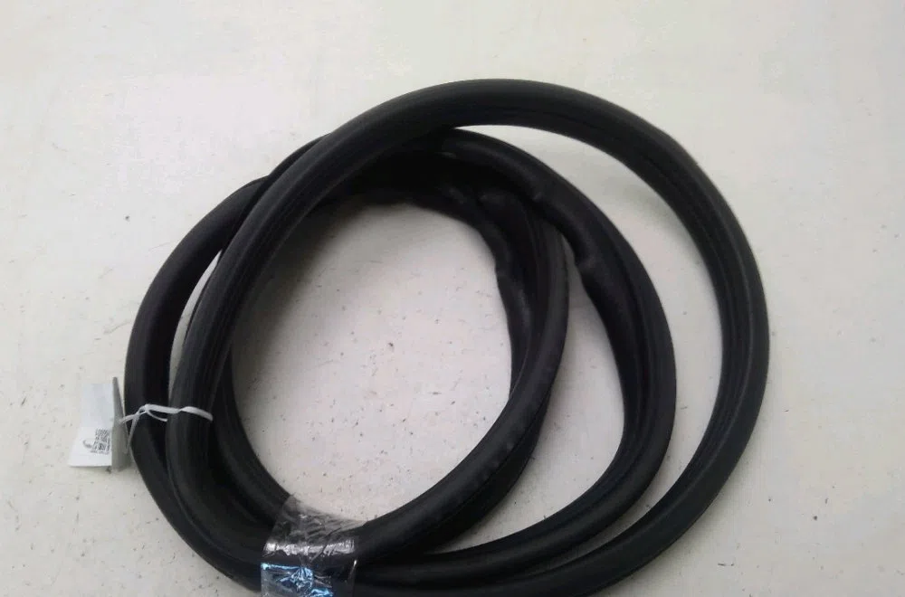 Joint porte avg Renault SCÉNIC II (JM0-1_) 1.9 dci (jm0g, jm12, jm1g, jm2c) (2003-2006) occasion